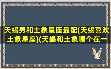 天蝎男和土象星座最配(天蝎喜欢土象星座)(天蝎和土象哪个在一起好)