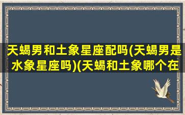 天蝎男和土象星座配吗(天蝎男是水象星座吗)(天蝎和土象哪个在一起好)