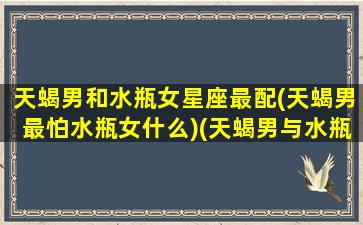 天蝎男和水瓶女星座最配(天蝎男最怕水瓶女什么)(天蝎男与水瓶女的匹配指数)