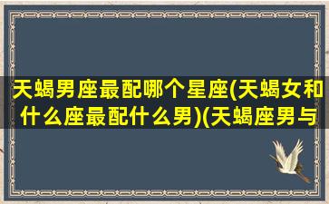 天蝎男座最配哪个星座(天蝎女和什么座最配什么男)(天蝎座男与哪个星座女最配)