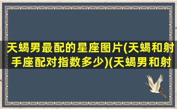 天蝎男最配的星座图片(天蝎和射手座配对指数多少)(天蝎男和射手星座配吗)