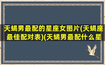 天蝎男最配的星座女图片(天蝎座最佳配对表)(天蝎男最配什么星座女生)