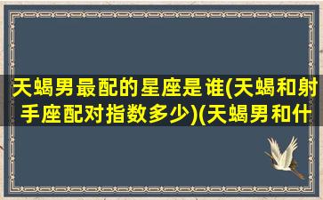 天蝎男最配的星座是谁(天蝎和射手座配对指数多少)(天蝎男和什么座最配对指数)