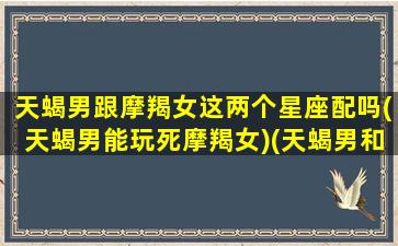 天蝎男跟摩羯女这两个星座配吗(天蝎男能玩死摩羯女)(天蝎男和摩羯女能在一起吗)