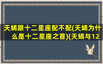 天蝎跟十二星座配不配(天蝎为什么是十二星座之首)(天蝎与12星座匹配程度)