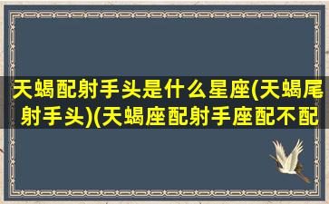 天蝎配射手头是什么星座(天蝎尾射手头)(天蝎座配射手座配不配)