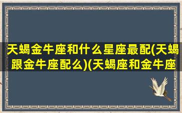 天蝎金牛座和什么星座最配(天蝎跟金牛座配么)(天蝎座和金牛座的匹配程度)