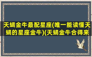 天蝎金牛最配星座(唯一能读懂天蝎的星座金牛)(天蝎金牛合得来吗)