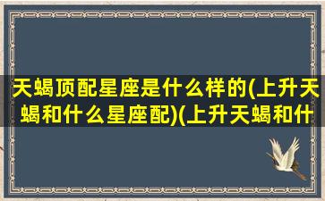 天蝎顶配星座是什么样的(上升天蝎和什么星座配)(上升天蝎和什么上升星座配)