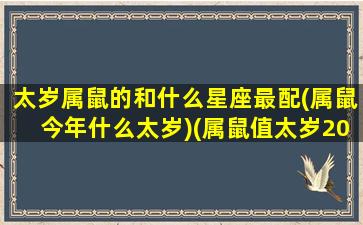 太岁属鼠的和什么星座最配(属鼠今年什么太岁)(属鼠值太岁2020化解)