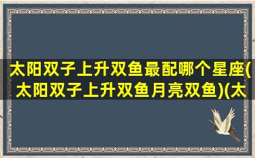 太阳双子上升双鱼最配哪个星座(太阳双子上升双鱼月亮双鱼)(太阳星座双子上升星座双鱼)