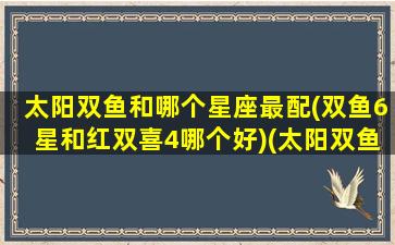 太阳双鱼和哪个星座最配(双鱼6星和红双喜4哪个好)(太阳双鱼的性格)