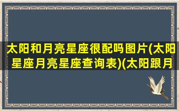 太阳和月亮星座很配吗图片(太阳星座月亮星座查询表)(太阳跟月亮星座)