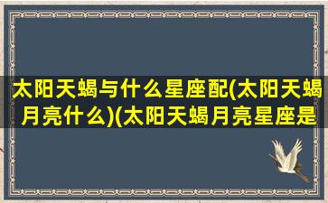 太阳天蝎与什么星座配(太阳天蝎月亮什么)(太阳天蝎月亮星座是什么)