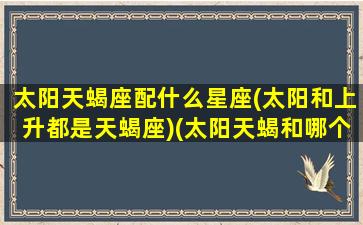 太阳天蝎座配什么星座(太阳和上升都是天蝎座)(太阳天蝎和哪个星座在一起比较合适)