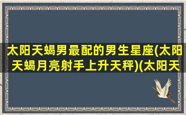 太阳天蝎男最配的男生星座(太阳天蝎月亮射手上升天秤)(太阳天蝎男和太阳射手女)