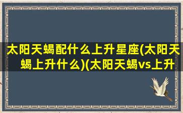 太阳天蝎配什么上升星座(太阳天蝎上升什么)(太阳天蝎vs上升天蝎)