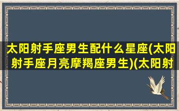 太阳射手座男生配什么星座(太阳射手座月亮摩羯座男生)(太阳射手座什么意思)