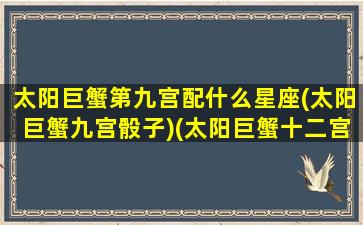 太阳巨蟹第九宫配什么星座(太阳巨蟹九宫骰子)(太阳巨蟹十二宫)