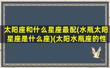 太阳座和什么星座最配(水瓶太阳星座是什么座)(太阳水瓶座的性格特质)