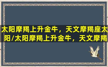 太阳摩羯上升金牛，天文摩羯座太阳/太阳摩羯上升金牛，天文摩羯座太阳-我的网站