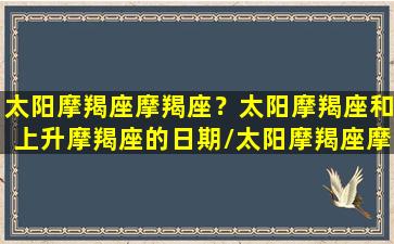 太阳摩羯座摩羯座？太阳摩羯座和上升摩羯座的日期/太阳摩羯座摩羯座？太阳摩羯座和上升摩羯座的日期-我的网站