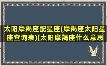 太阳摩羯座配星座(摩羯座太阳星座查询表)(太阳摩羯座什么意思)