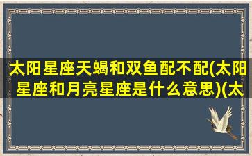 太阳星座天蝎和双鱼配不配(太阳星座和月亮星座是什么意思)(太阳天蝎月亮双鱼可怕)