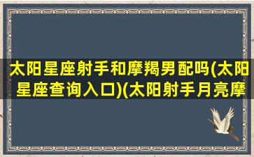 太阳星座射手和摩羯男配吗(太阳星座查询入口)(太阳射手月亮摩羯座男生)