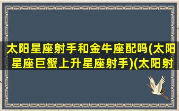 太阳星座射手和金牛座配吗(太阳星座巨蟹上升星座射手)(太阳射手和金星射手区别)