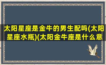 太阳星座是金牛的男生配吗(太阳星座水瓶)(太阳金牛座是什么意思)