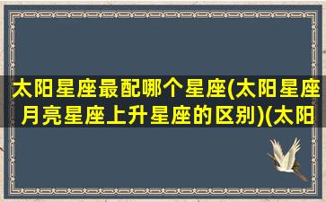 太阳星座最配哪个星座(太阳星座月亮星座上升星座的区别)(太阳星座和月亮星座的组合超准分析)