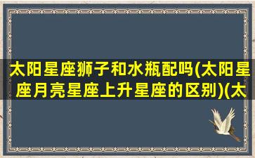 太阳星座狮子和水瓶配吗(太阳星座月亮星座上升星座的区别)(太阳狮子月亮水瓶的男生是不是都废了)