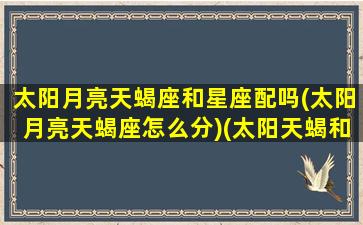 太阳月亮天蝎座和星座配吗(太阳月亮天蝎座怎么分)(太阳天蝎和月亮天蝎合适吗)