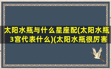 太阳水瓶与什么星座配(太阳水瓶3宫代表什么)(太阳水瓶很厉害)