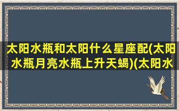 太阳水瓶和太阳什么星座配(太阳水瓶月亮水瓶上升天蝎)(太阳水瓶跟月亮水瓶谈恋爱)