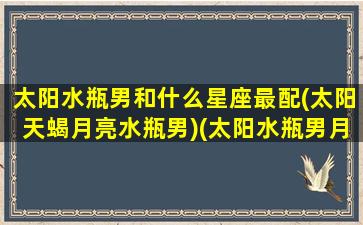 太阳水瓶男和什么星座最配(太阳天蝎月亮水瓶男)(太阳水瓶男月亮水瓶女配对)