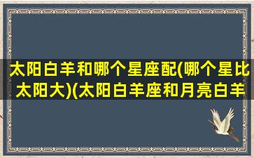 太阳白羊和哪个星座配(哪个星比太阳大)(太阳白羊座和月亮白羊的区别)