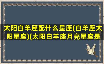 太阳白羊座配什么星座(白羊座太阳星座)(太阳白羊座月亮星座是什么)