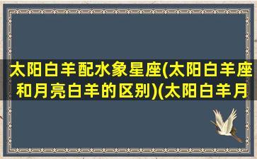 太阳白羊配水象星座(太阳白羊座和月亮白羊的区别)(太阳白羊月亮水瓶座)