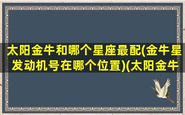 太阳金牛和哪个星座最配(金牛星发动机号在哪个位置)(太阳金牛7)