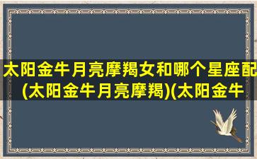 太阳金牛月亮摩羯女和哪个星座配(太阳金牛月亮摩羯)(太阳金牛月亮摩羯女生)