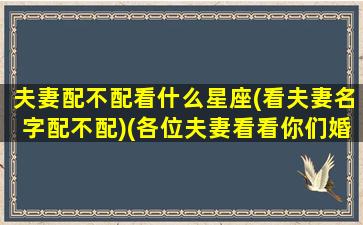 夫妻配不配看什么星座(看夫妻名字配不配)(各位夫妻看看你们婚配吗)