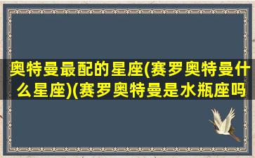 奥特曼最配的星座(赛罗奥特曼什么星座)(赛罗奥特曼是水瓶座吗)