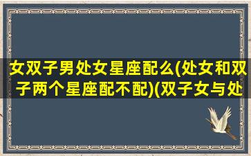 女双子男处女星座配么(处女和双子两个星座配不配)(双子女与处女男匹配度)