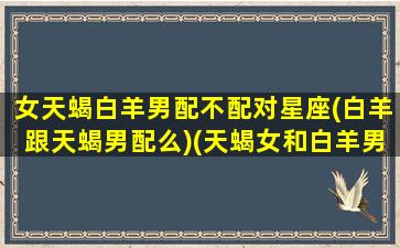 女天蝎白羊男配不配对星座(白羊跟天蝎男配么)(天蝎女和白羊男的结局)