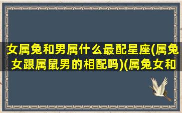 女属兔和男属什么最配星座(属兔女跟属鼠男的相配吗)(属兔女和属兔男婚配)