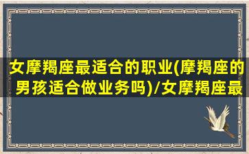 女摩羯座最适合的职业(摩羯座的男孩适合做业务吗)/女摩羯座最适合的职业(摩羯座的男孩适合做业务吗)-我的网站