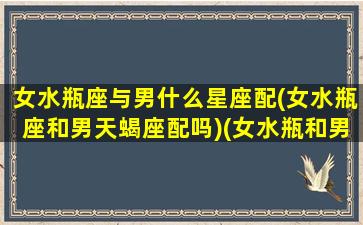 女水瓶座与男什么星座配(女水瓶座和男天蝎座配吗)(女水瓶和男天蝎合适吗)