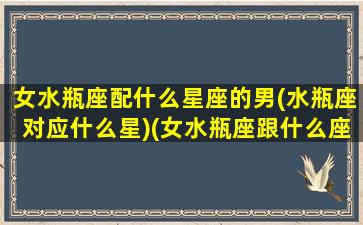 女水瓶座配什么星座的男(水瓶座对应什么星)(女水瓶座跟什么座最配对)